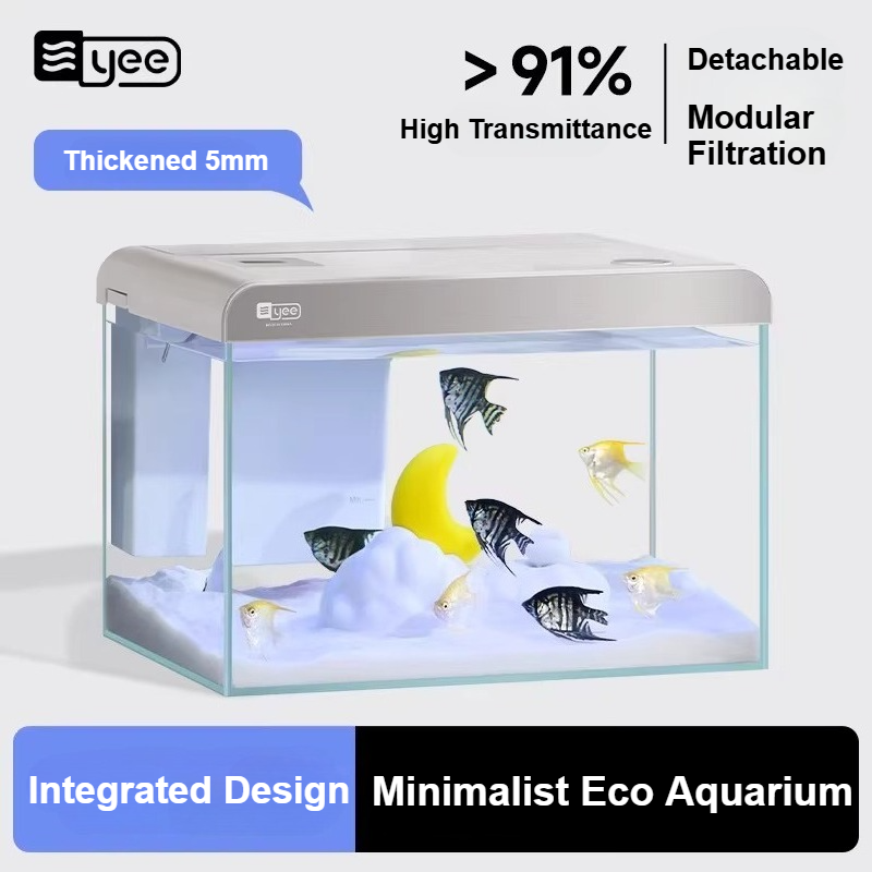 حوض سمك زجاجي فائق الوضوح للمك - مراجعة Marine Aquarium All In One وسعره