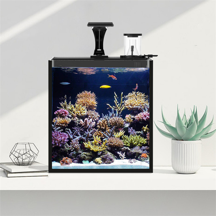 حوض سمك زجاجي فائق الوضوح من س - مراجعة Marine Aquarium Cube وسعره