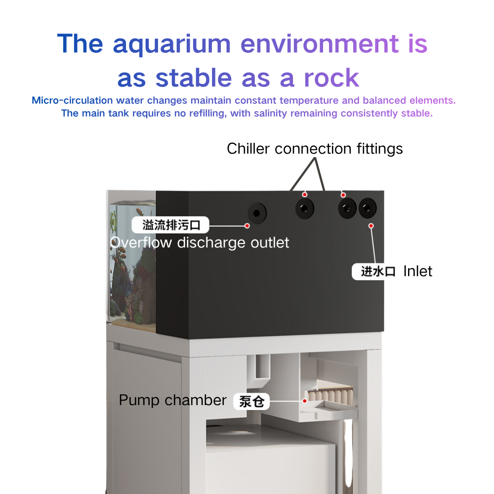 حوض سمك ذكي من Paopaoshark مع  - مراجعة Marine Aquarium Cube وسعره