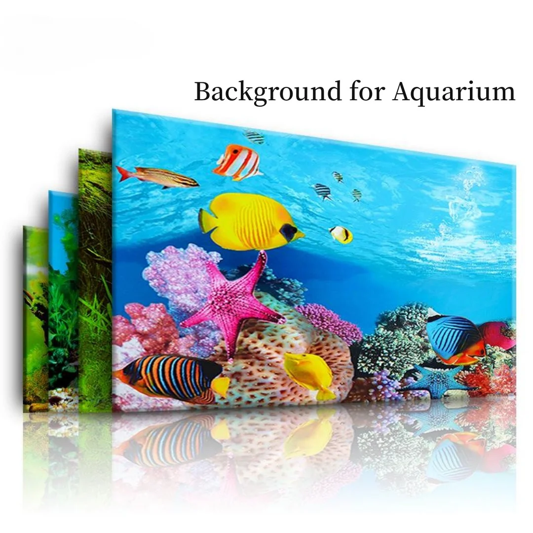 خلفية حوض السمك ثلاثية الأبعاد - مراجعة Marine Aquarium All In One وسعره