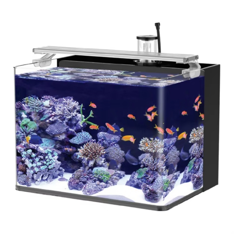 حوض سمك منحني للمياه المالحة ل - مراجعة Marine Aquarium All In One وسعره